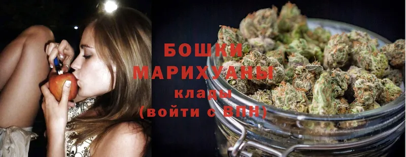 продажа наркотиков  Заводоуковск  Каннабис OG Kush 